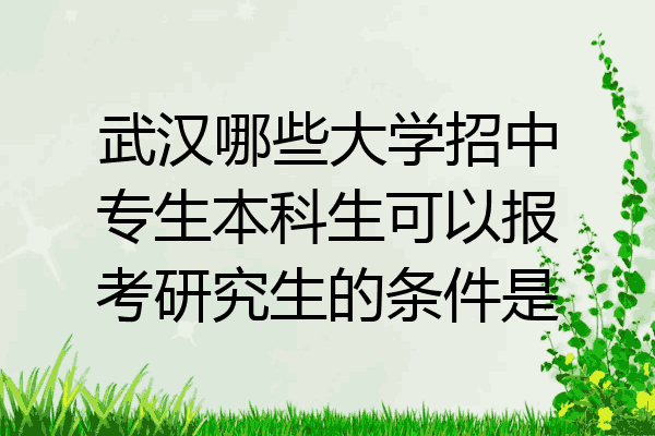 武汉哪些大学招中专生本科生可以报考研究生的条件是