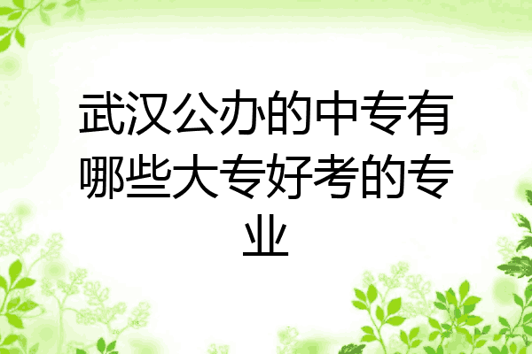 武汉公办的中专有哪些大专好考的专业