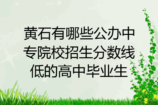 黄石有哪些公办中专院校招生分数线低的高中毕业生