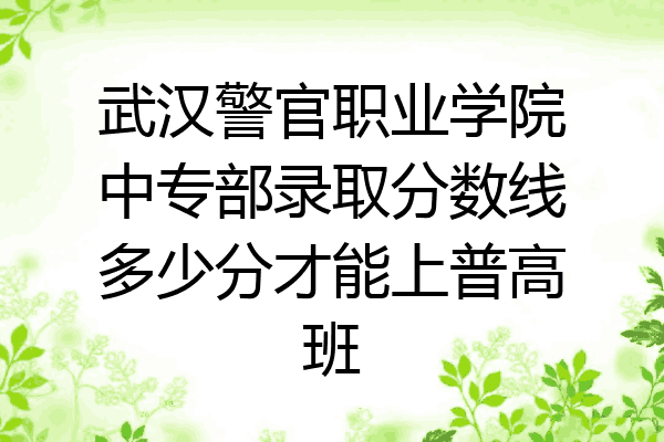 武汉警官职业学院中专部录取分数线多少分才能上普高班