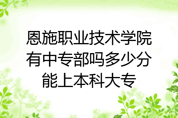 恩施职业技术学院有中专部吗多少分能上本科大专