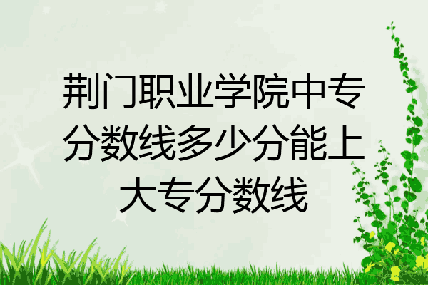 荆门职业学院中专分数线多少分能上大专分数线