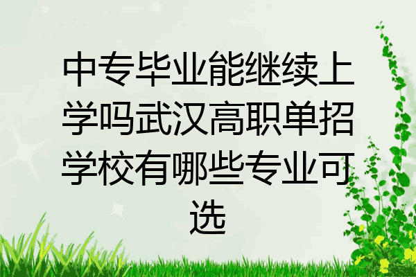 中专毕业能继续上学吗武汉高职单招学校有哪些专业可选