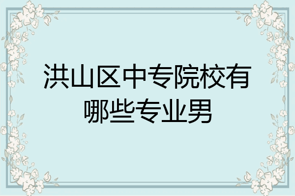 洪山区中专院校有哪些专业男