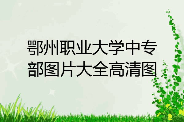 鄂州职业大学中专部图片大全高清图