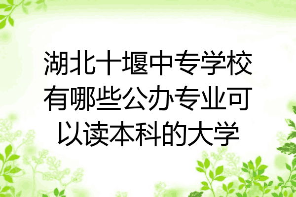 湖北十堰中专学校有哪些公办专业可以读本科的大学