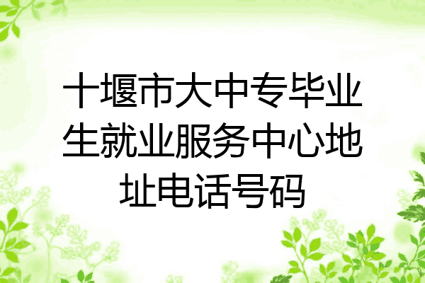 十堰市大中专毕业生就业服务中心地址电话号码