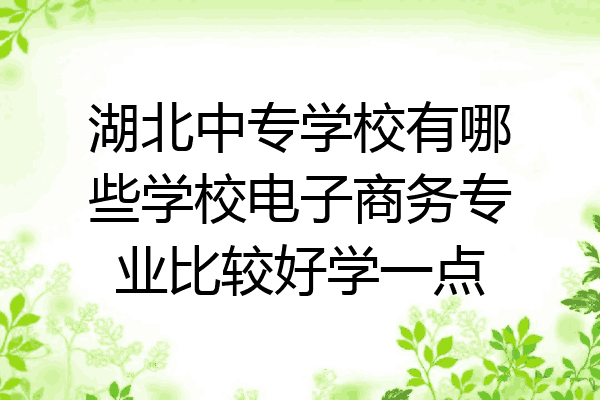 湖北中专学校有哪些学校电子商务专业比较好学一点