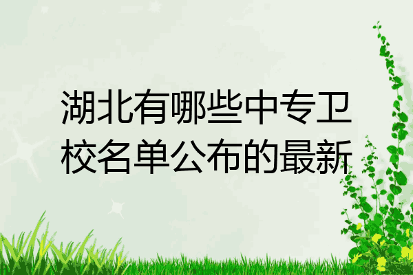 湖北有哪些中专卫校名单公布的最新
