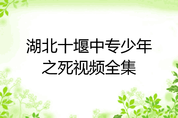 湖北十堰中专少年之死视频全集
