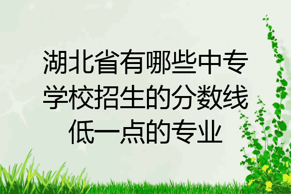 湖北省有哪些中专学校招生的分数线低一点的专业