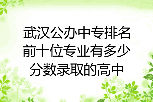 武汉公办中专排名前十位专业有多少分数录取的高中