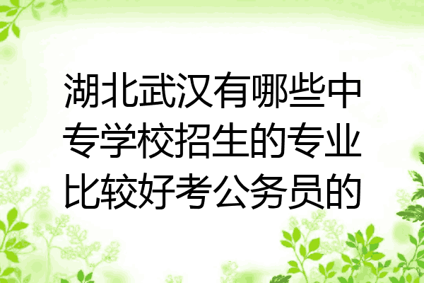 湖北武汉有哪些中专学校招生的专业比较好考公务员的