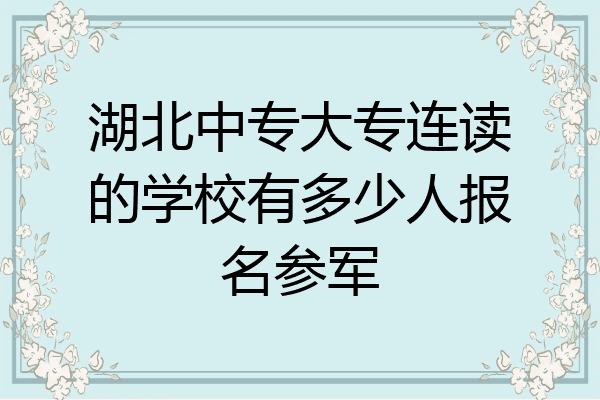 湖北中专大专连读的学校有多少人报名参军