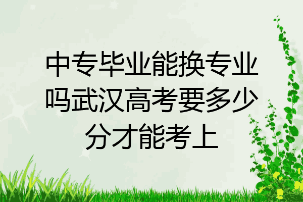 中专毕业能换专业吗武汉高考要多少分才能考上