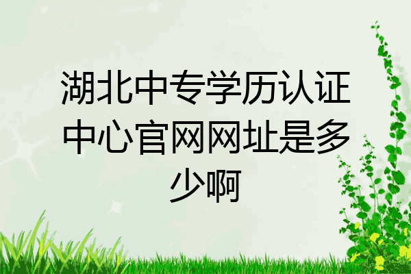 湖北中专学历认证中心官网网址是多少啊