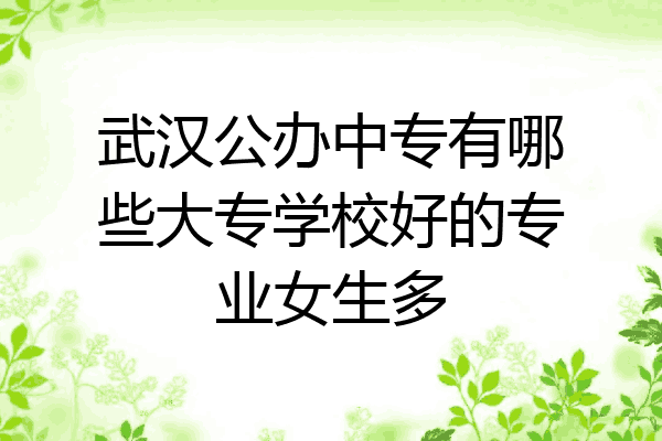 武汉公办中专有哪些大专学校好的专业女生多