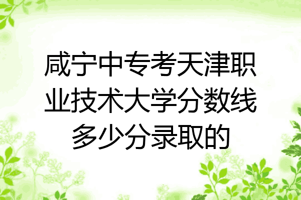咸宁中专考天津职业技术大学分数线多少分录取的