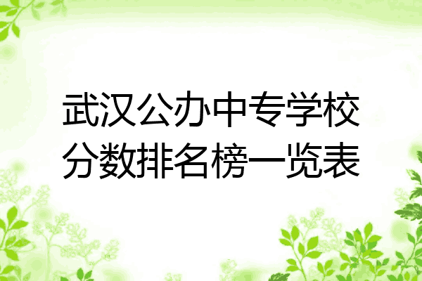 武汉公办中专学校分数排名榜一览表