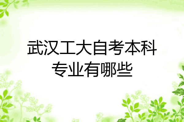 武汉工大自考本科专业有哪些
