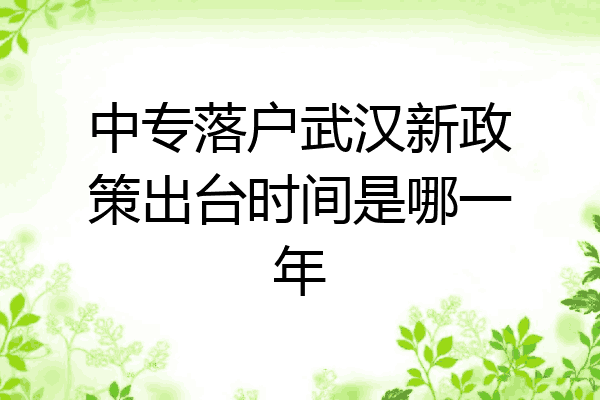 中专落户武汉新政策出台时间是哪一年