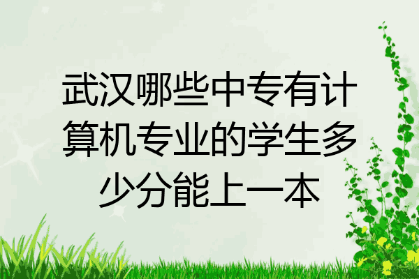 武汉哪些中专有计算机专业的学生多少分能上一本