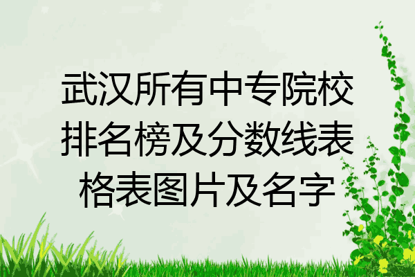 武汉所有中专院校排名榜及分数线表格表图片及名字