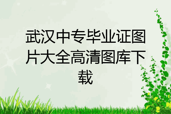 武汉中专毕业证图片大全高清图库下载
