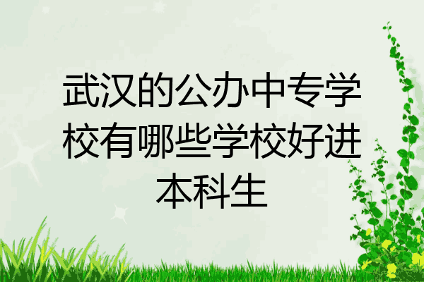 武汉的公办中专学校有哪些学校好进本科生