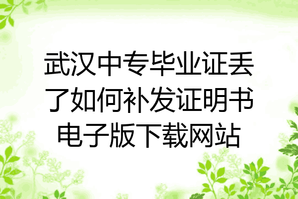 武汉中专毕业证丢了如何补发证明书电子版下载网站
