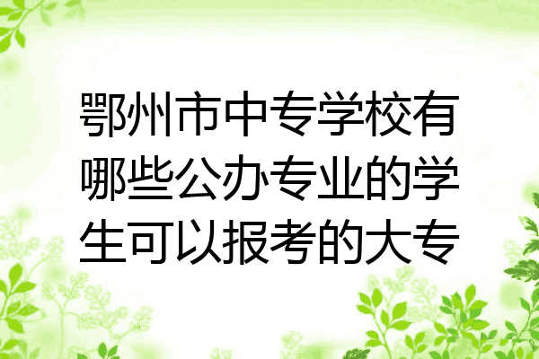 鄂州市中专学校有哪些公办专业的学生可以报考的大专
