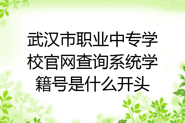 武汉市职业中专学校官网查询系统学籍号是什么开头