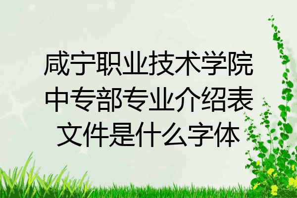 咸宁职业技术学院中专部专业介绍表文件是什么字体