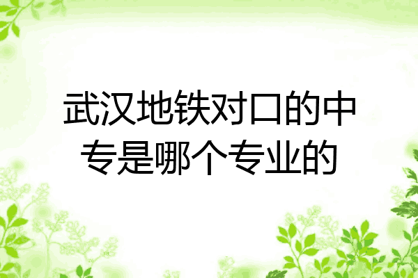 武汉地铁对口的中专是哪个专业的