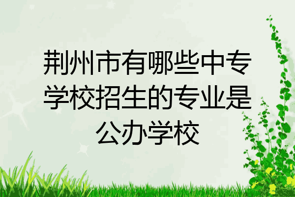 荆州市有哪些中专学校招生的专业是公办学校