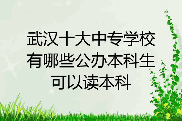 武汉十大中专学校有哪些公办本科生可以读本科