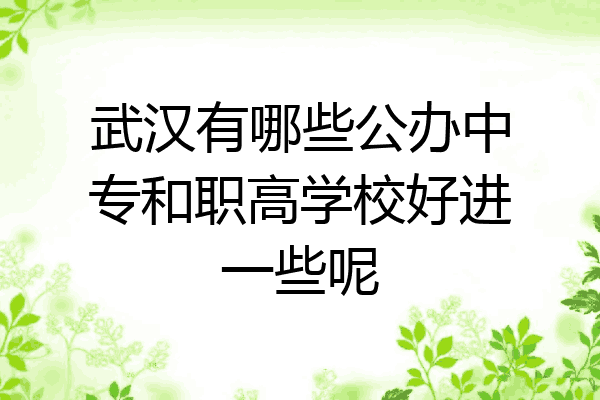 武汉有哪些公办中专和职高学校好进一些呢