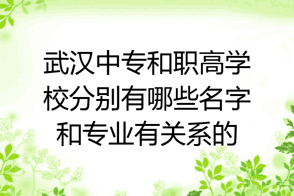 武汉中专和职高学校分别有哪些名字和专业有关系的