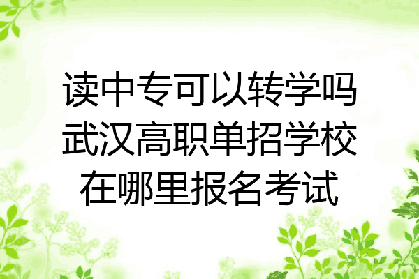 读中专可以转学吗武汉高职单招学校在哪里报名考试