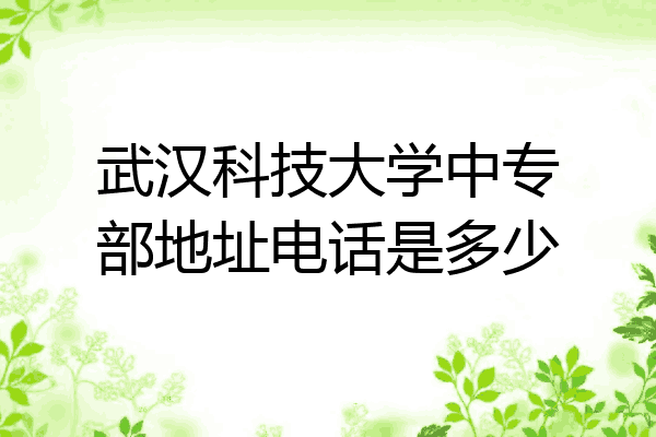 武汉科技大学中专部地址电话是多少