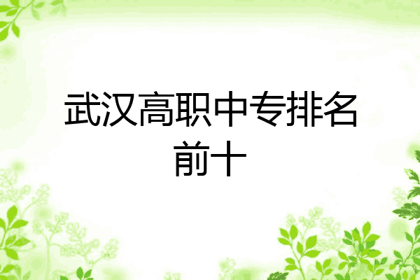武汉高职中专排名前十