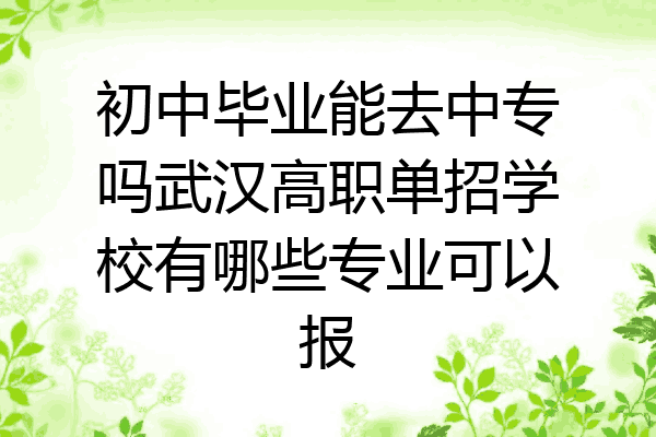 初中毕业能去中专吗武汉高职单招学校有哪些专业可以报