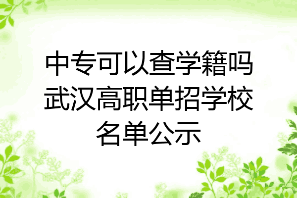 中专可以查学籍吗武汉高职单招学校名单公示