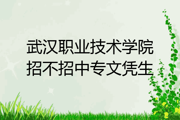 武汉职业技术学院招不招中专文凭生