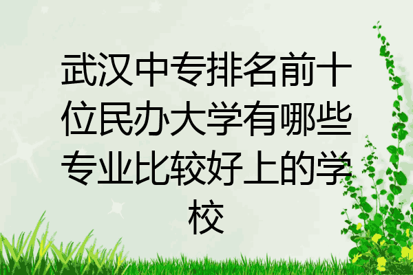 武汉中专排名前十位民办大学有哪些专业比较好上的学校