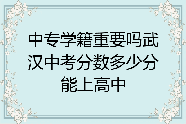 中专学籍重要吗武汉中考分数多少分能上高中