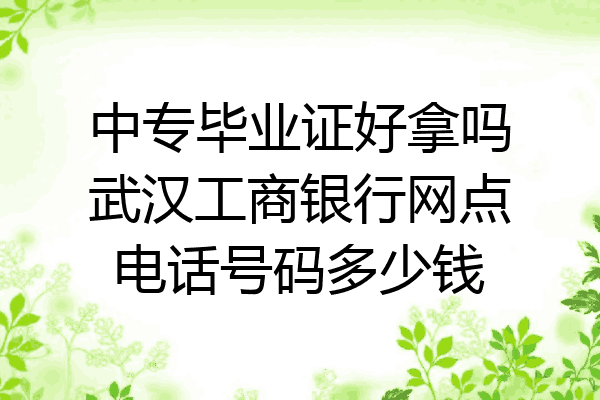中专毕业证好拿吗武汉工商银行网点电话号码多少钱