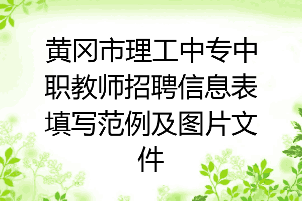 黄冈市理工中专中职教师招聘信息表填写范例及图片文件