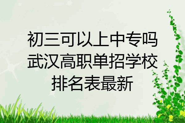 初三可以上中专吗武汉高职单招学校排名表最新