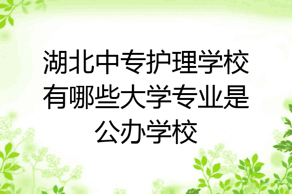 湖北中专护理学校有哪些大学专业是公办学校